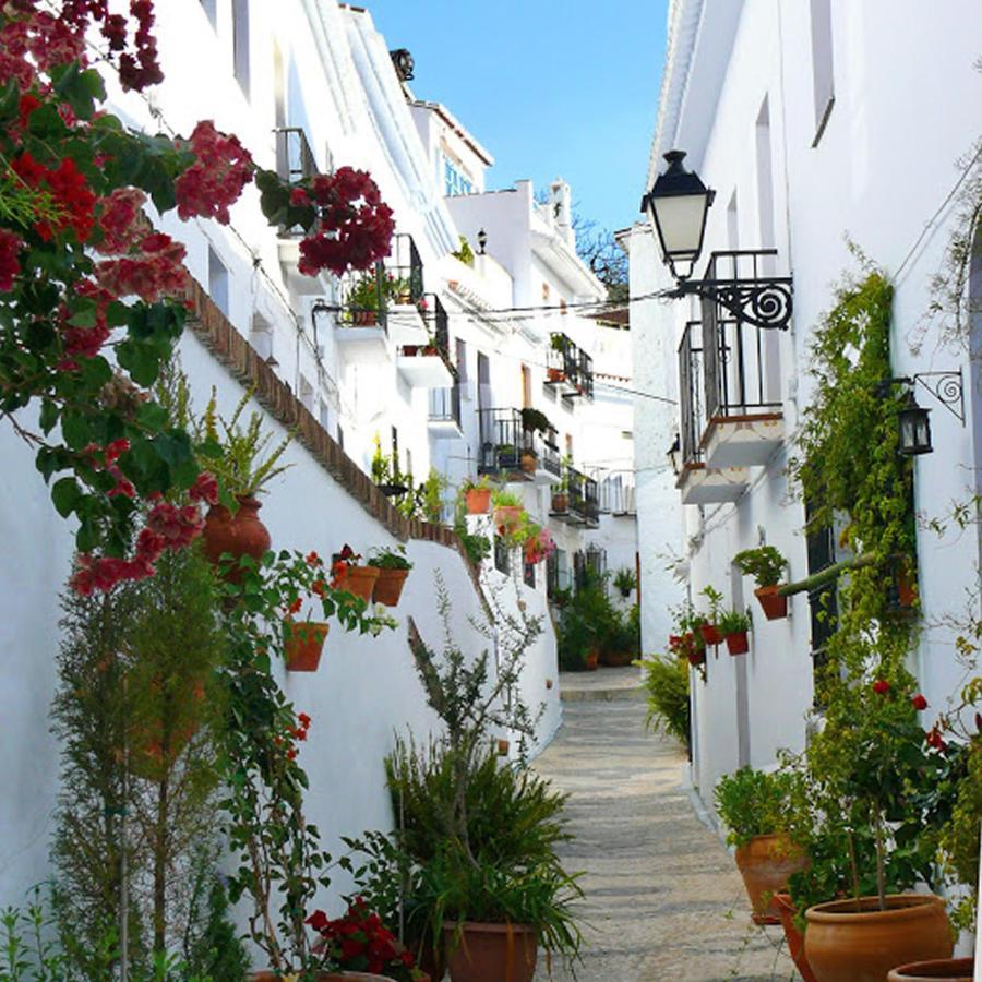 Nerja Paradise Rentals - Villa Cataleya Фрихилиана Экстерьер фото